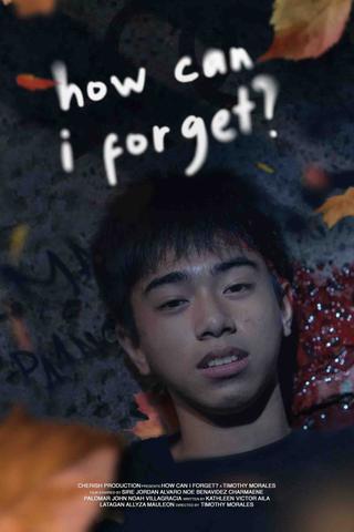 How Can I Forget? poster