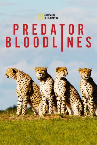 Predator Bloodlines poster