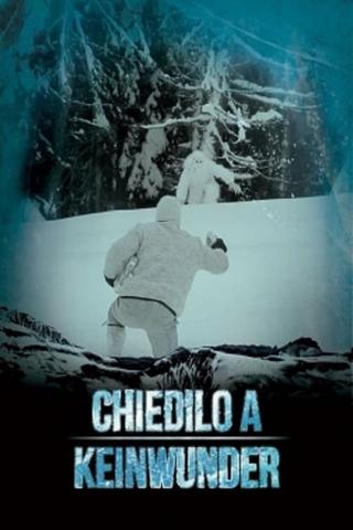 Chiedilo a Keinwunder poster