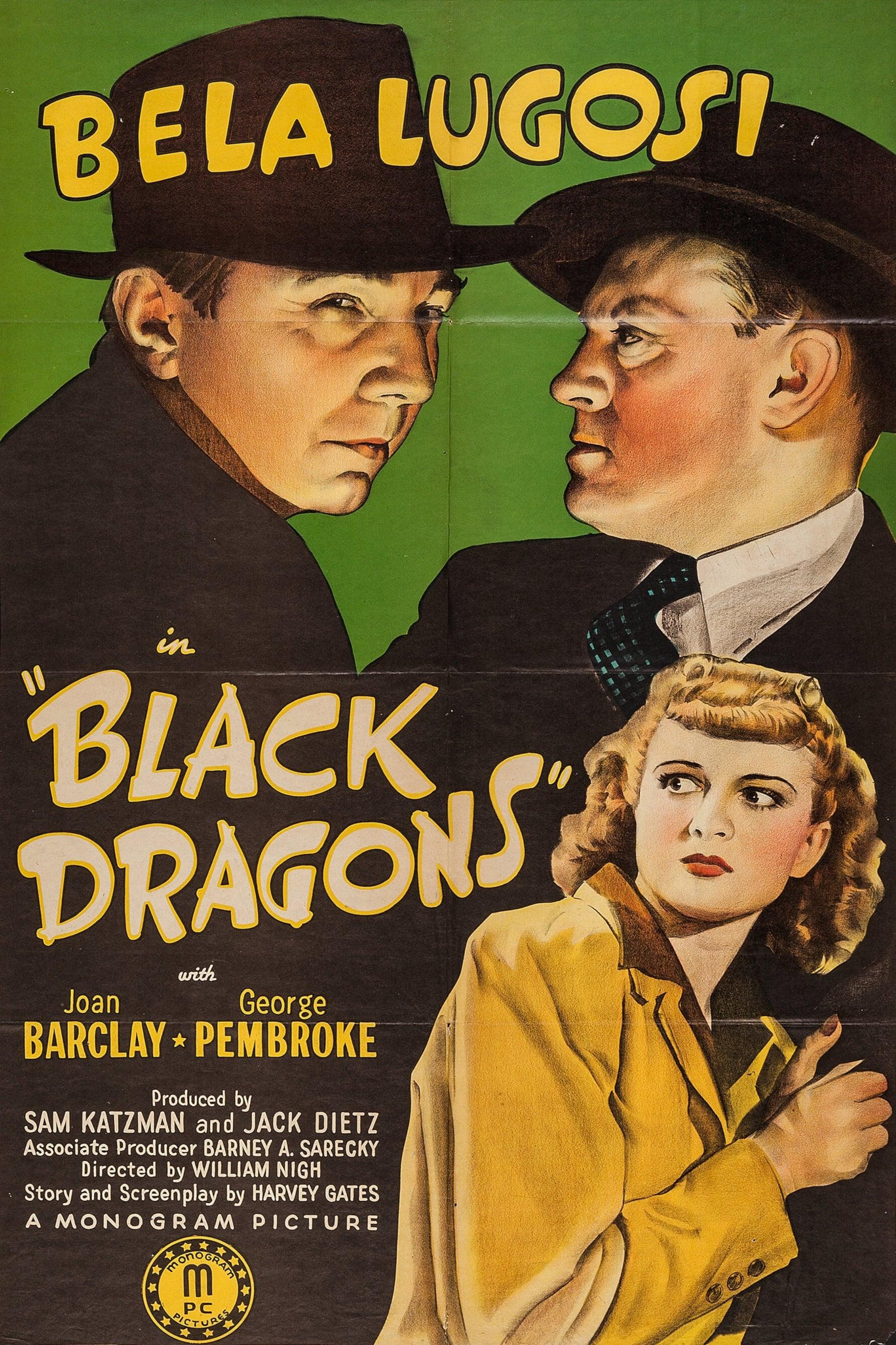 Black Dragons poster