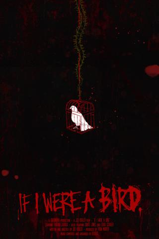 If I Were A Bird poster