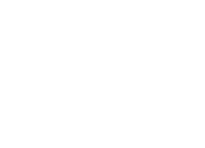 The Bank Hacker logo