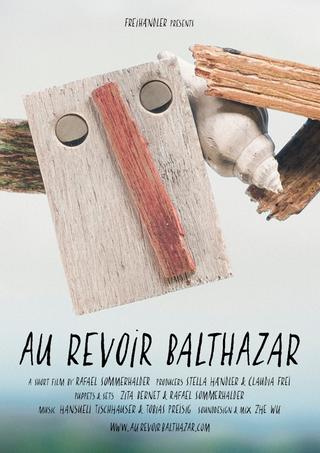 Goodbye Balthazar poster