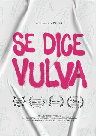 It’s called vulva poster