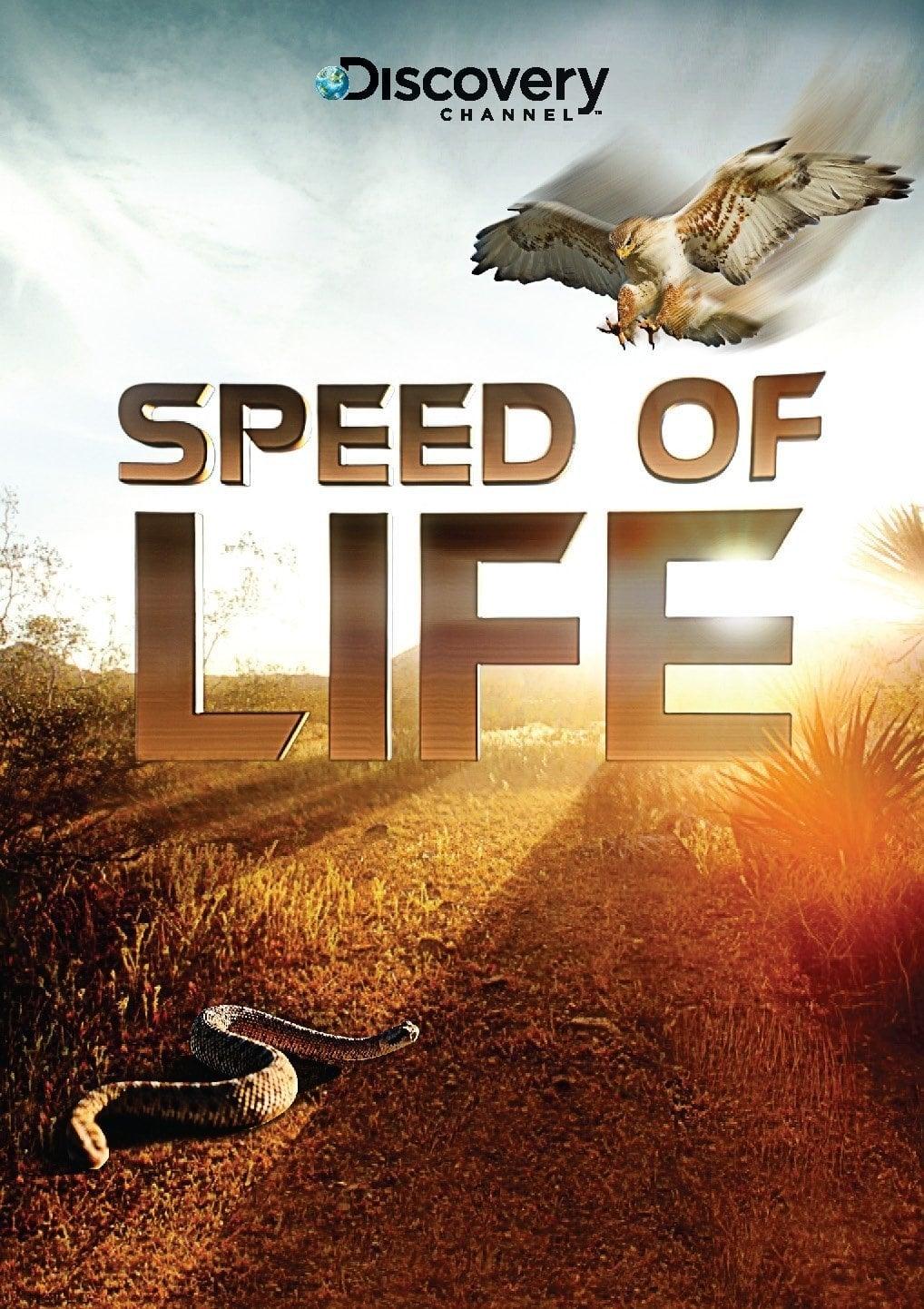 Speed of Life poster