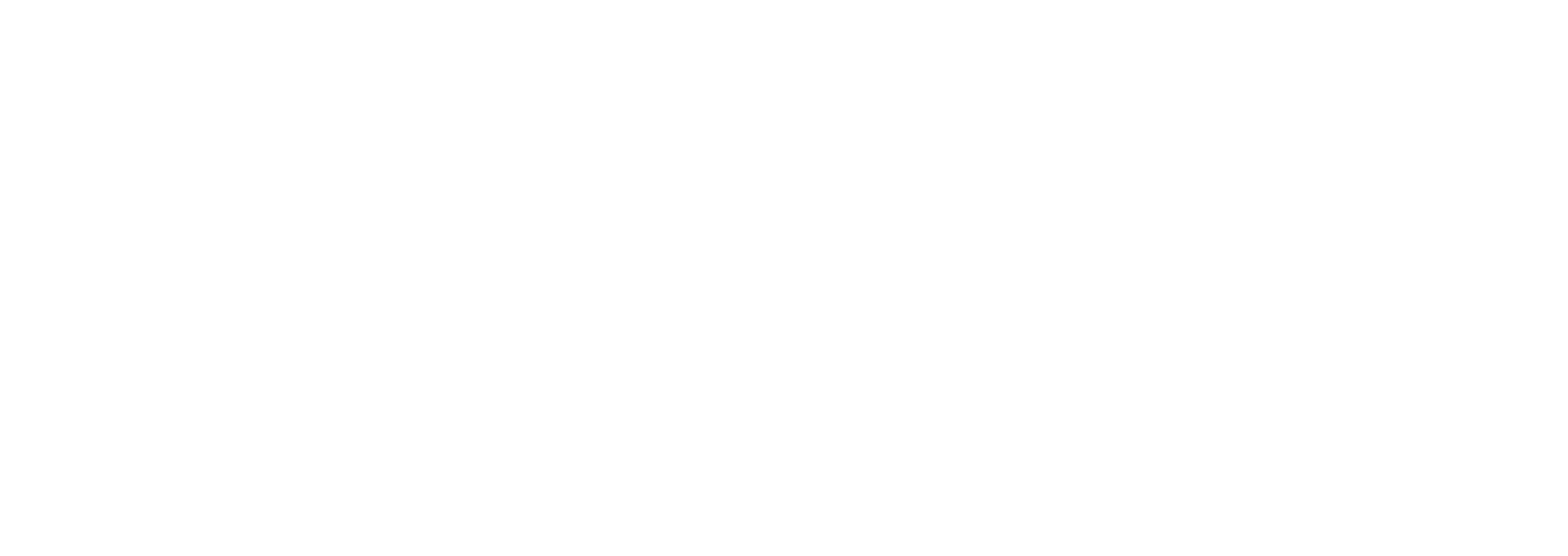 The Lucky Guy logo