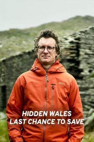 Hidden Wales: Last Chance to Save poster