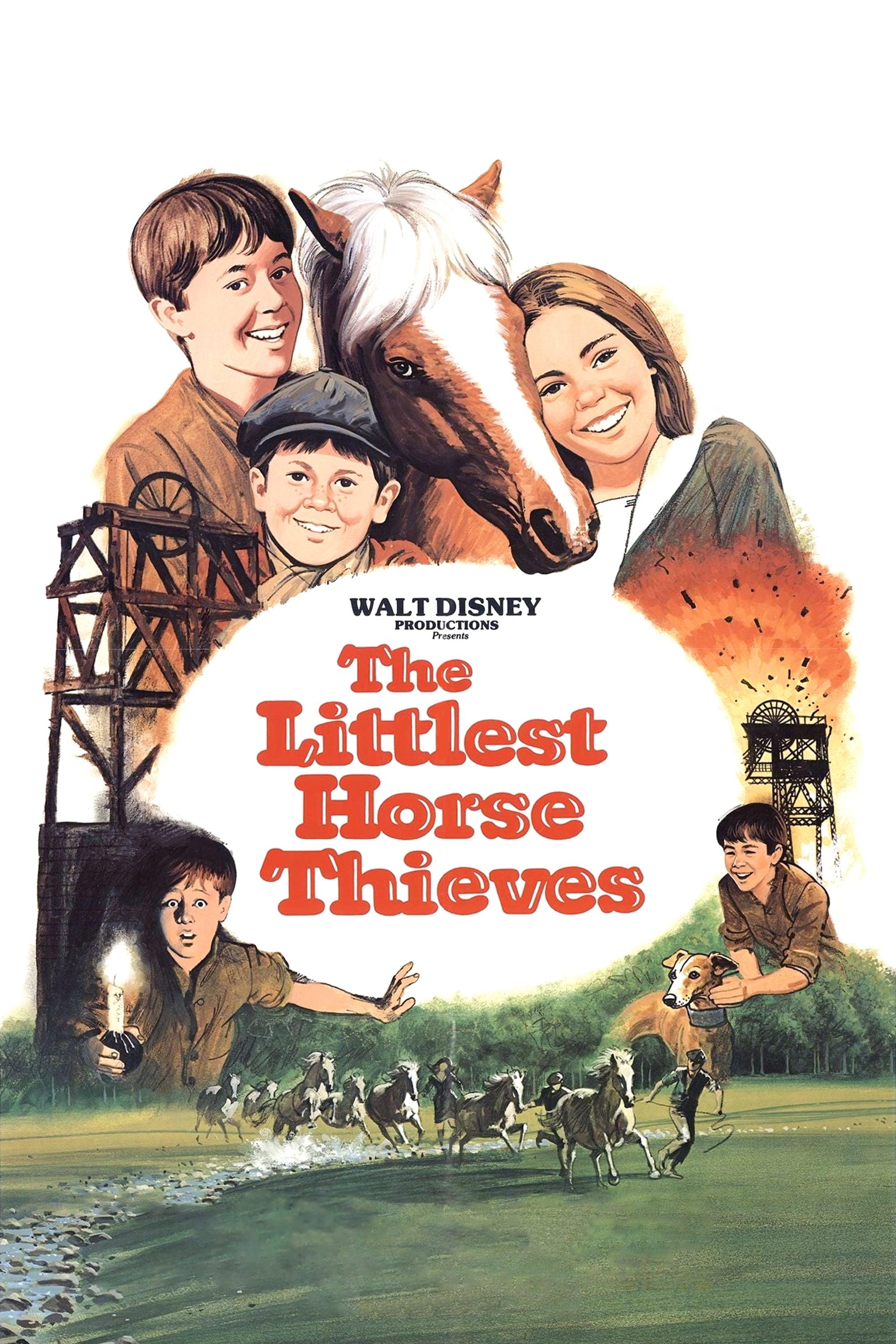 The Littlest Horse Thieves poster