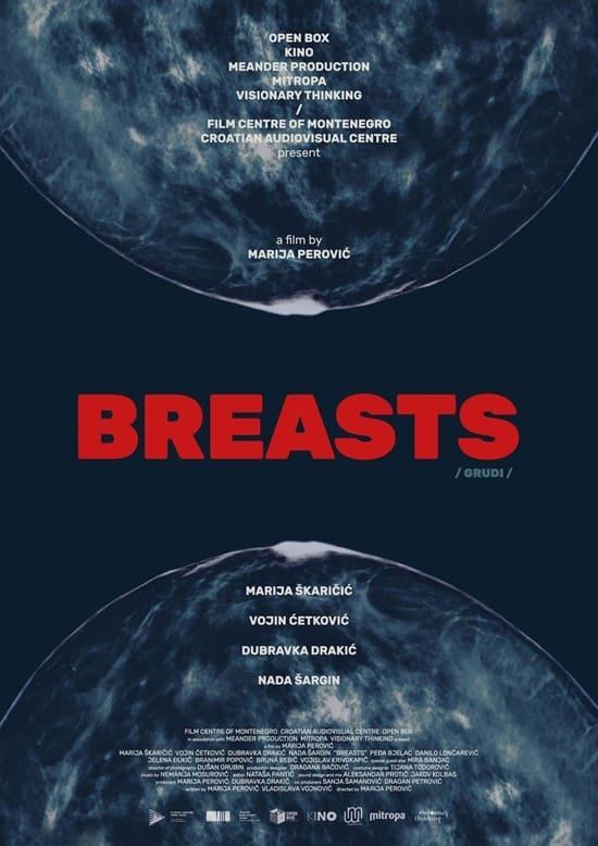 Breasts poster