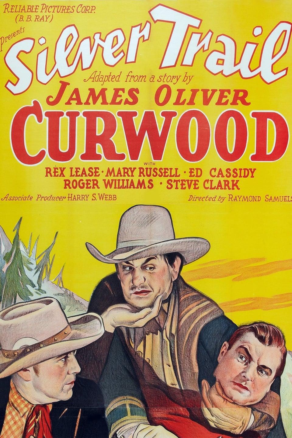 The Silver Trail poster