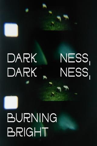 Darkness, Darkness, Burning Bright poster