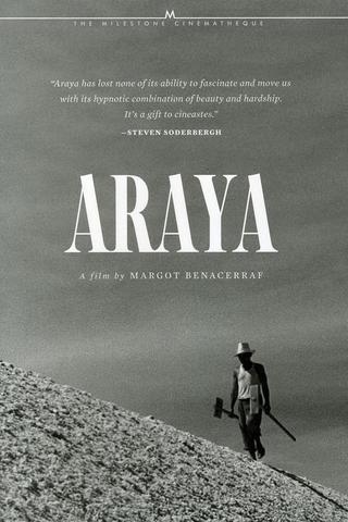 Araya poster