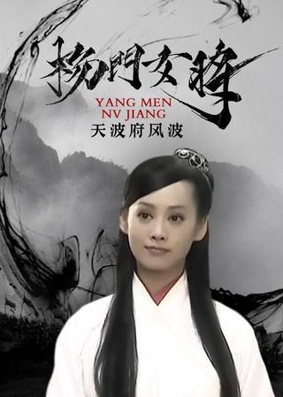 杨门女将之天波府风波 poster