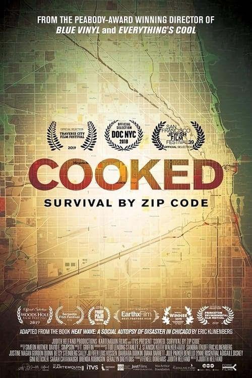 Cooked: Survival by Zip Code poster