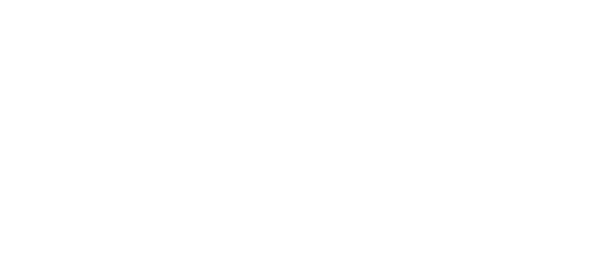 The Delivery Boy logo