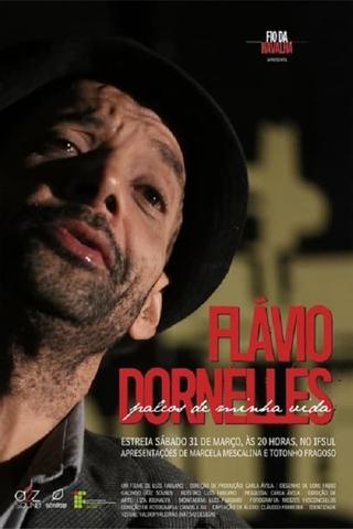 Flávio Dornelles – Palcos de Minha Vida poster