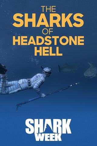 The Sharks Of Headstone Hell poster