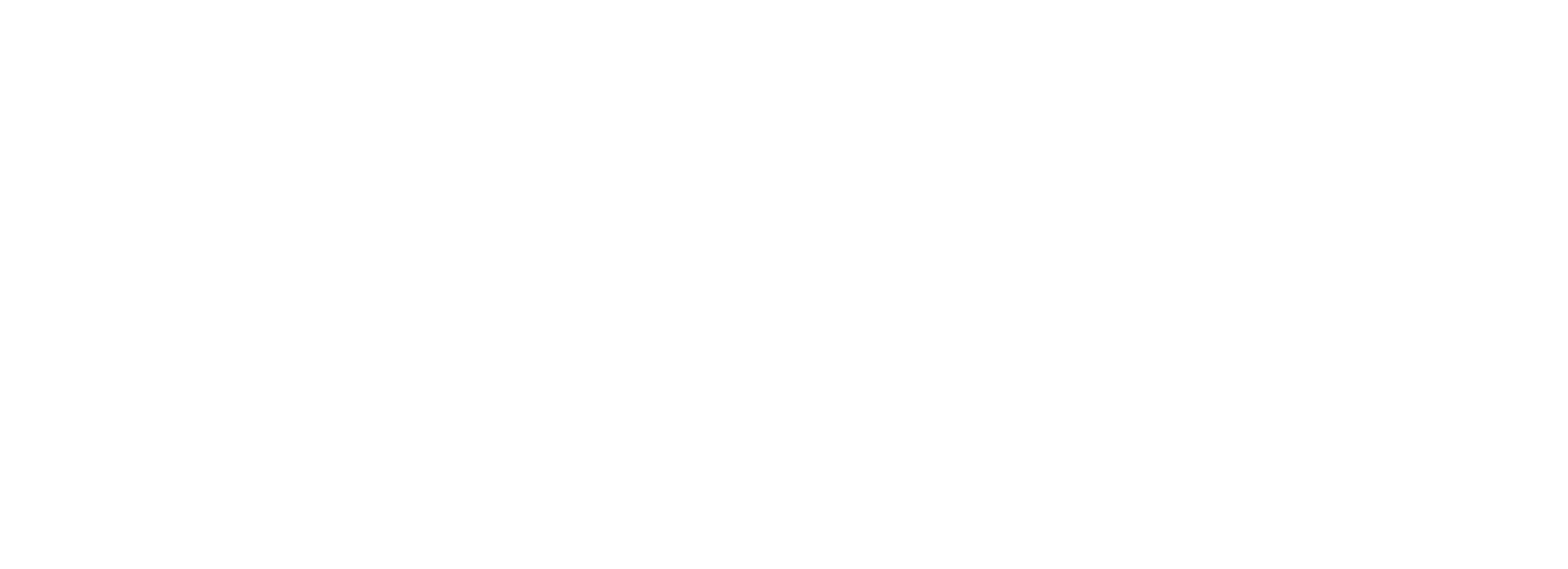 Little Old New York logo