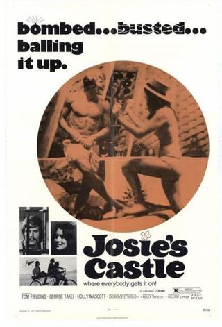 Josie's Castle poster