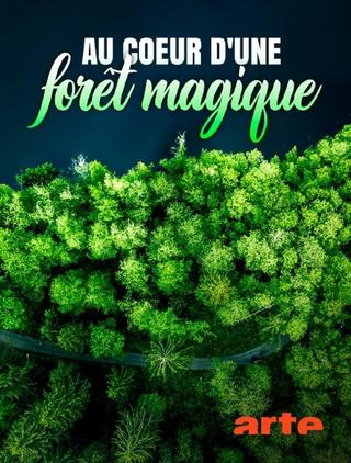 Au cœur d'une forêt magique poster