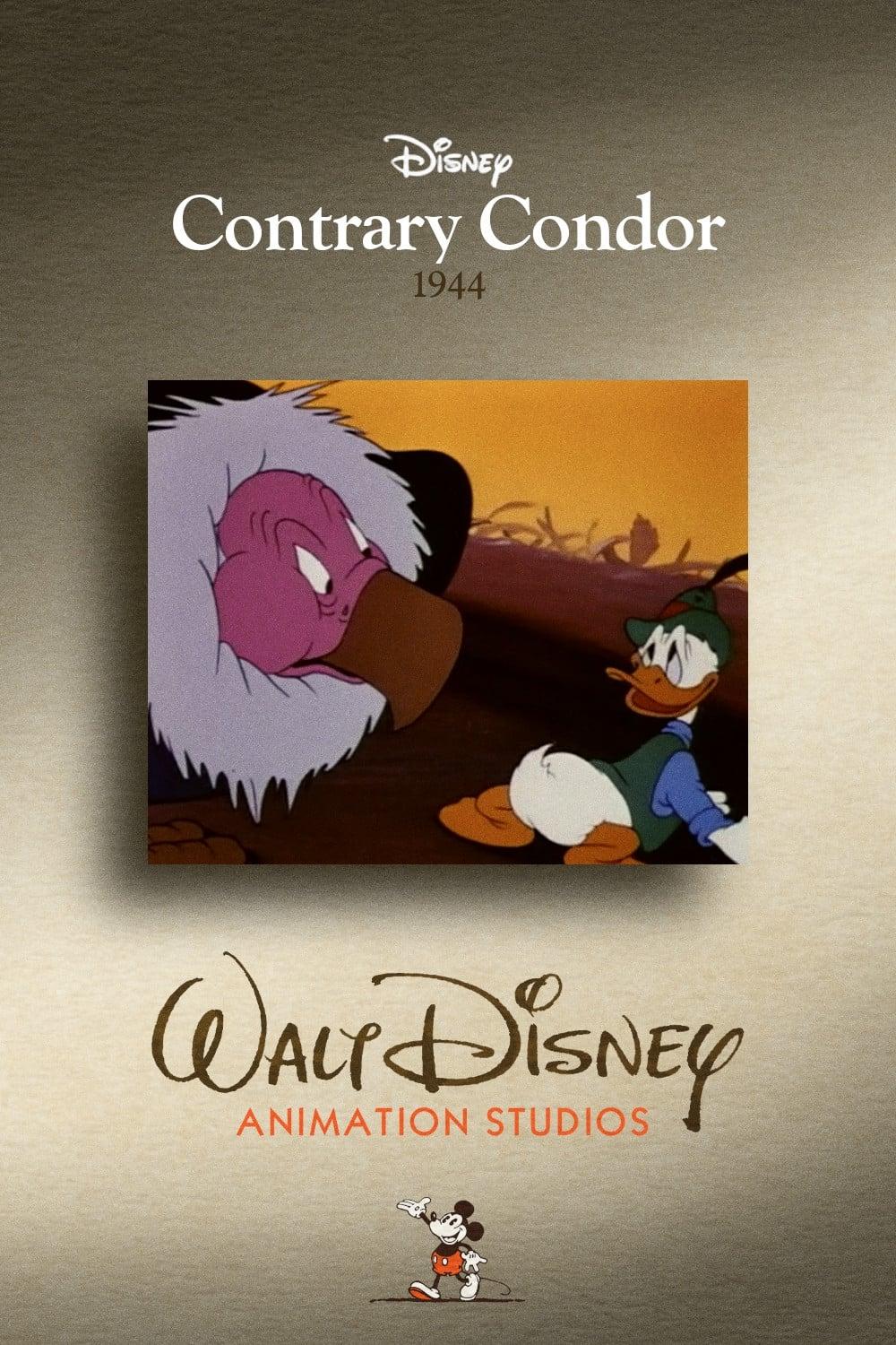 Contrary Condor poster