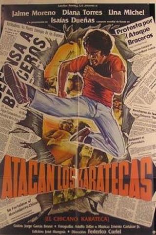 Atacan los karatecas poster