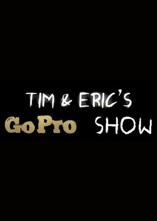 Tim and Eric's Go Pro Show poster