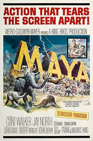 Maya poster