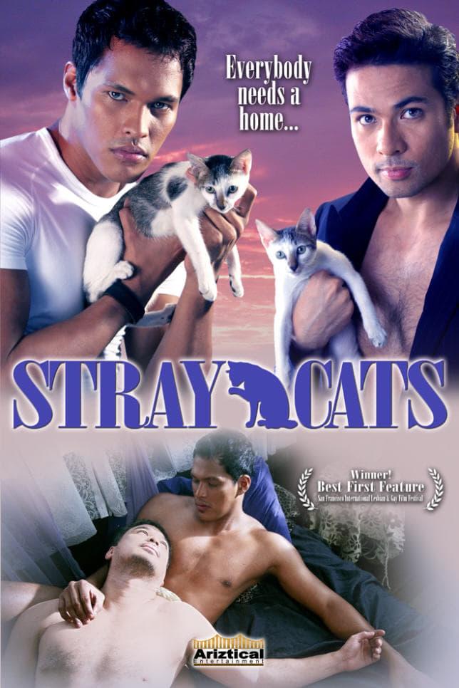 Stray Cats poster