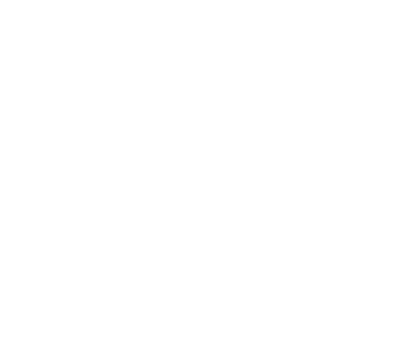 Tiger and Crane logo