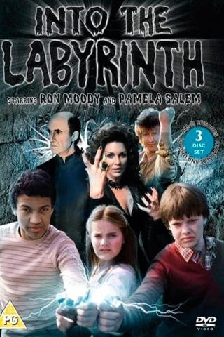 Into the Labyrinth poster