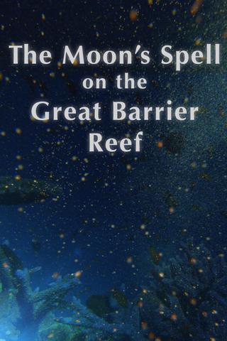 The Moon's Spell on the Great Barrier Reef poster