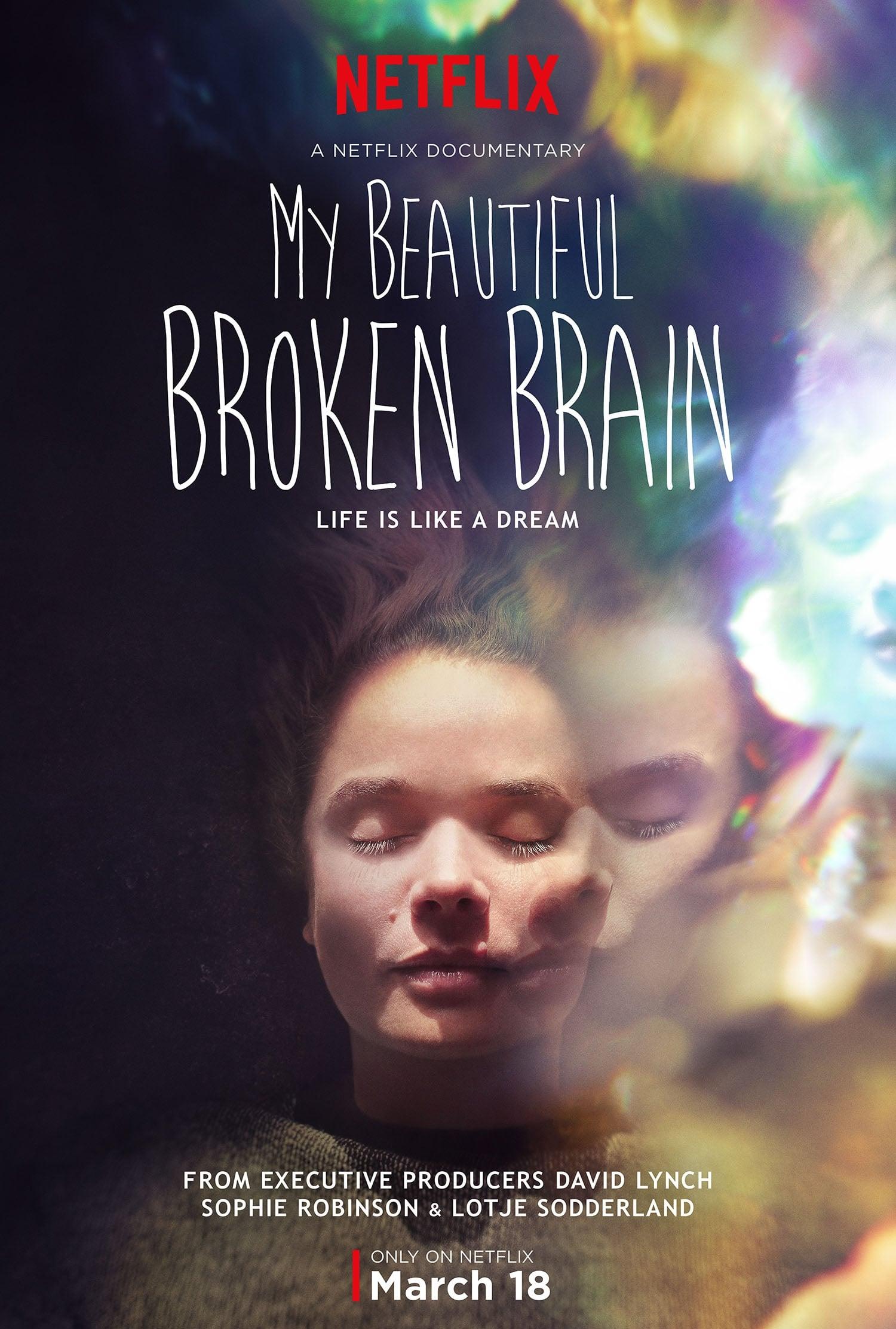 My Beautiful Broken Brain poster