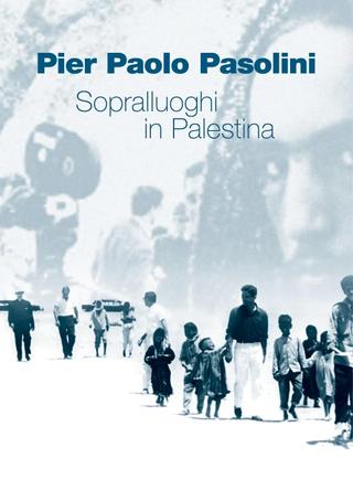 Scouting in Palestine poster
