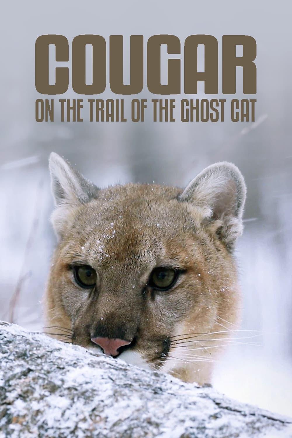 Cougar: On the Trail of the Ghost Cat poster