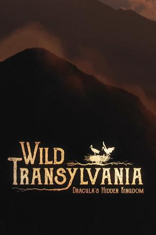 Wild Transylvania – Dracula's Hidden Kingdom poster