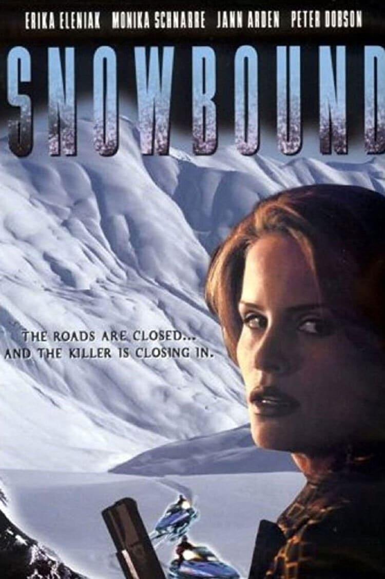 Snowbound poster