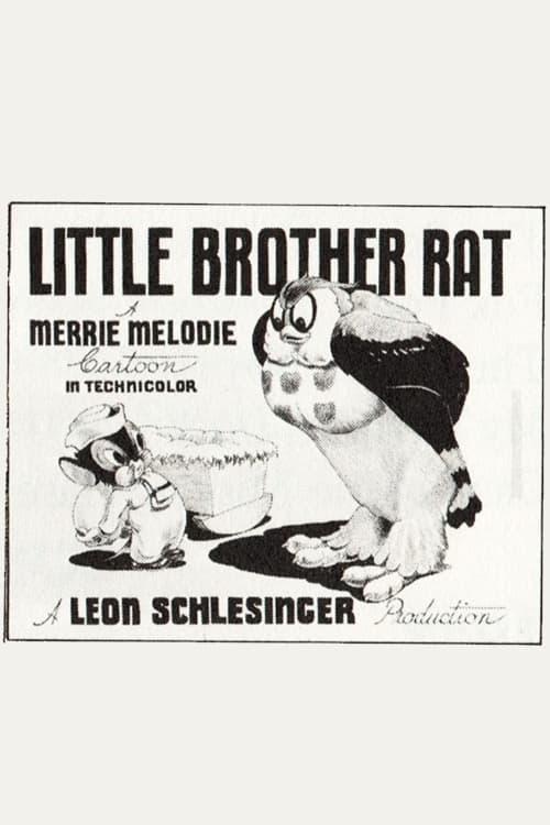 Little Brother Rat poster