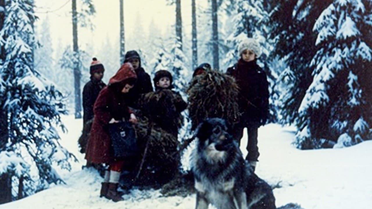 Almira Ramakić backdrop