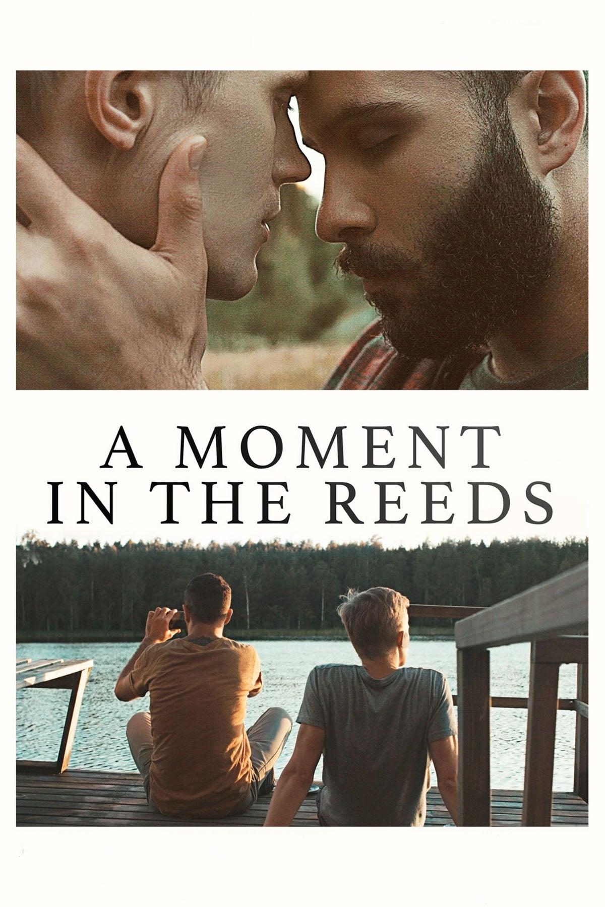 A Moment in the Reeds poster