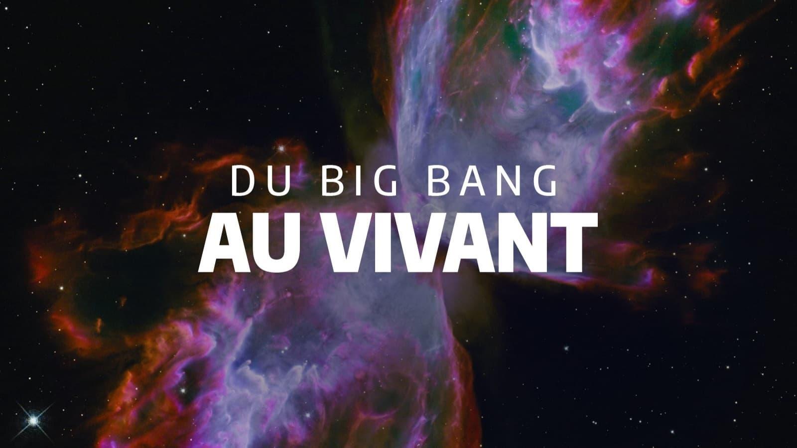 Du Big Bang au vivant backdrop