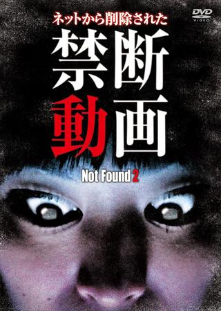 Not Found 2 poster