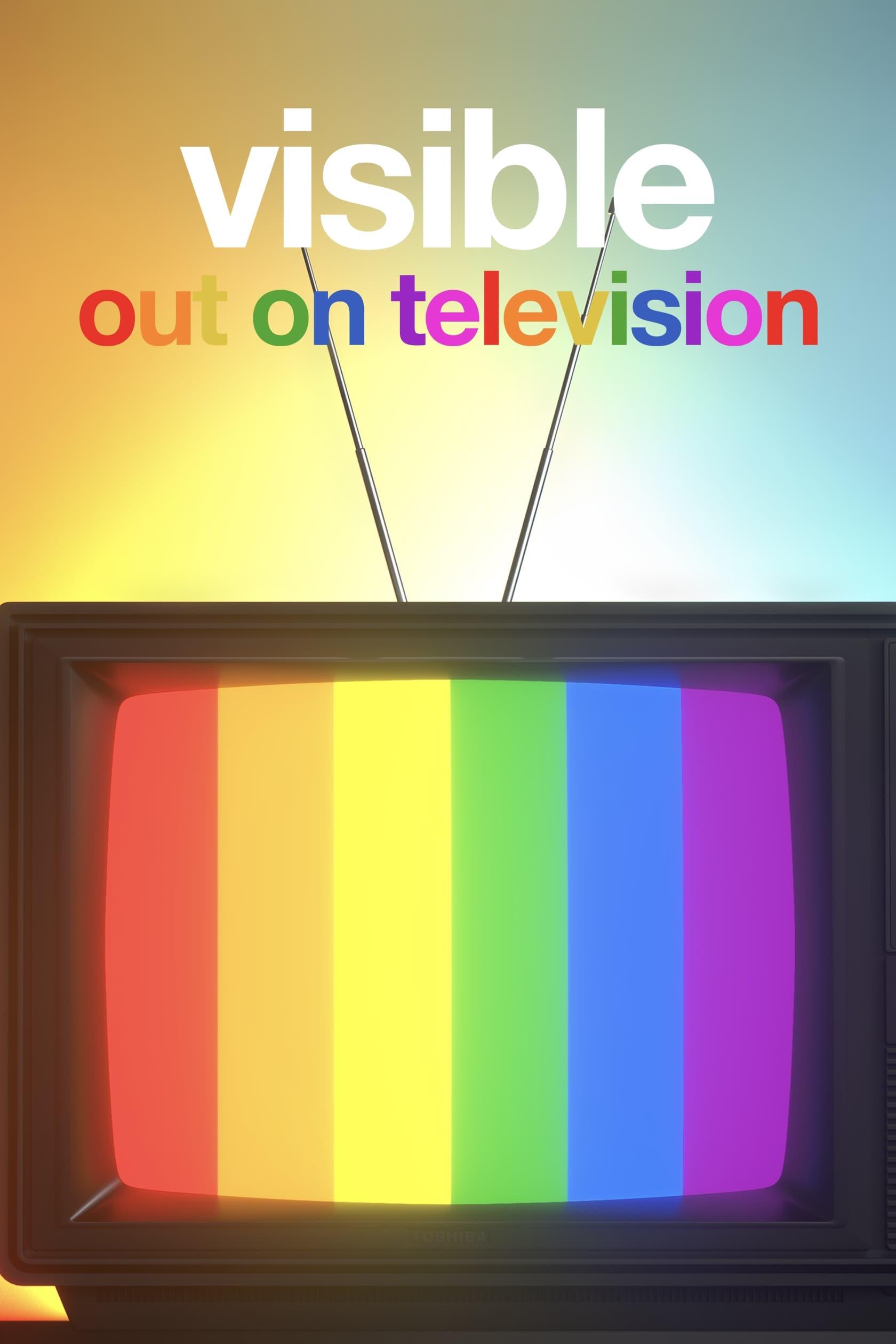 Visible: Out on Television poster