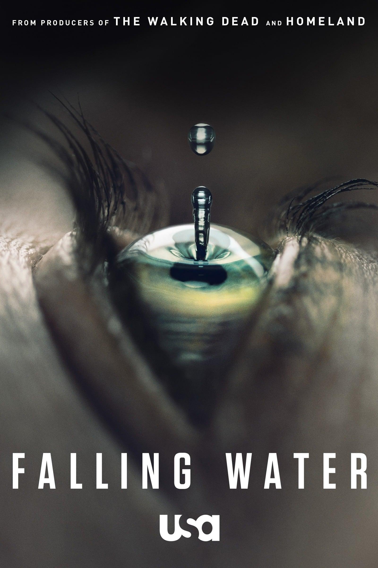Falling Water poster