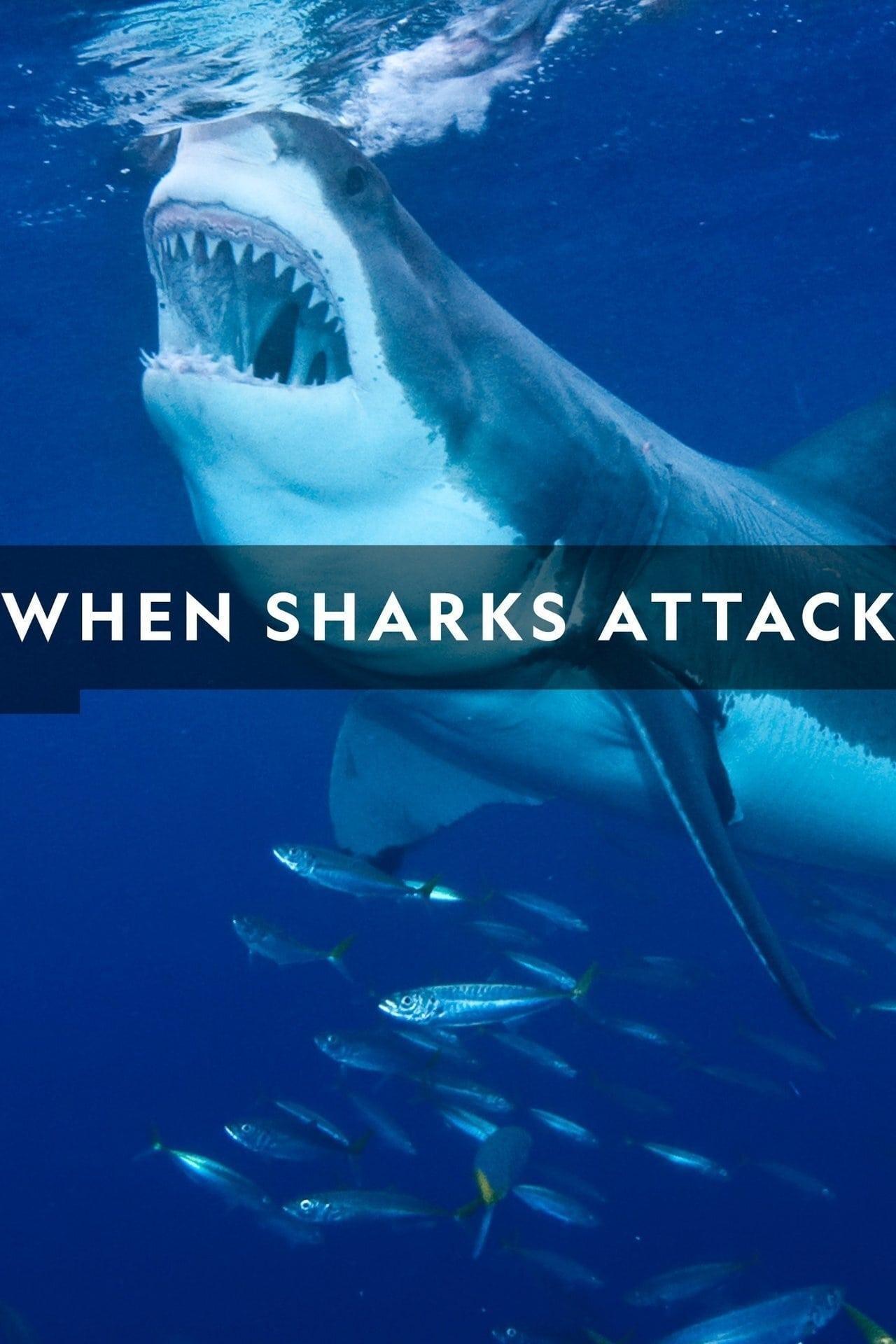 When Sharks Attack poster