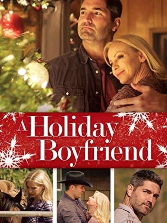 A Holiday Boyfriend poster