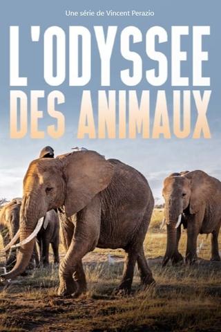 L’Odyssée des animaux poster