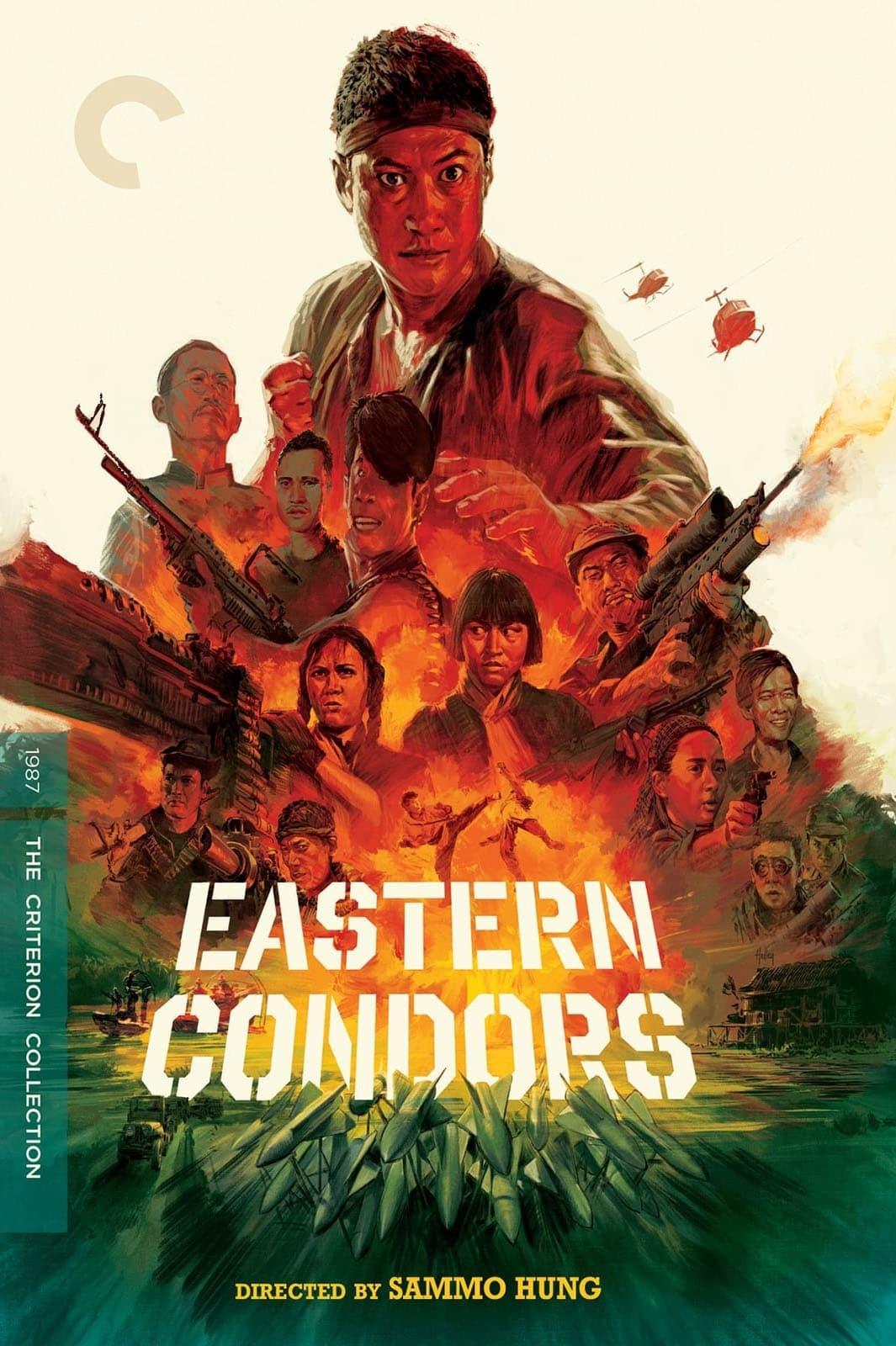 Eastern Condors poster