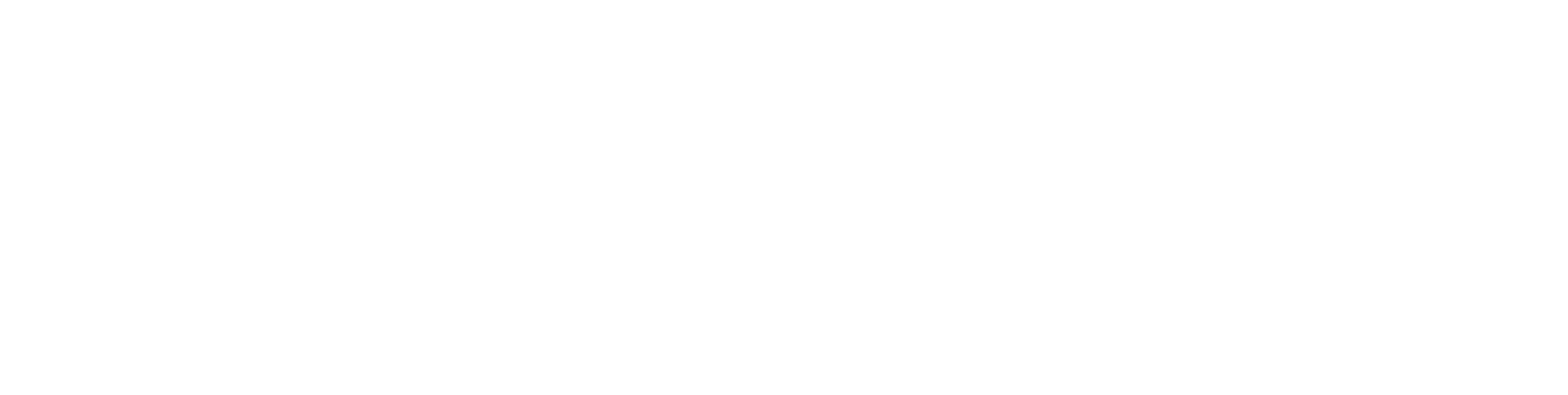 Meet Me in New York logo