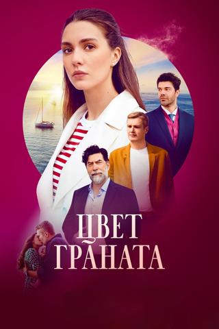 Цвет граната poster